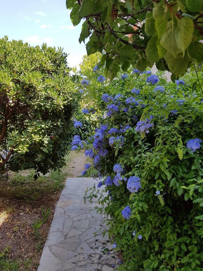 2 Appartements Calmes Frejus Exterior photo